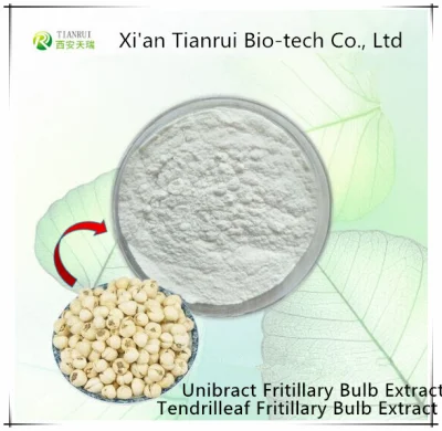 Extrait naturel à 100 % de Bulbus Fritillariae Cirrhosae pour la phytothérapie