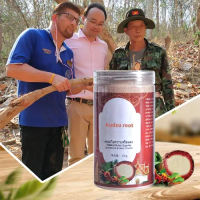 Complément alimentaire de santé OEM Aliments en vrac Kudzu Root Nutrition Podwer Complément alimentaire